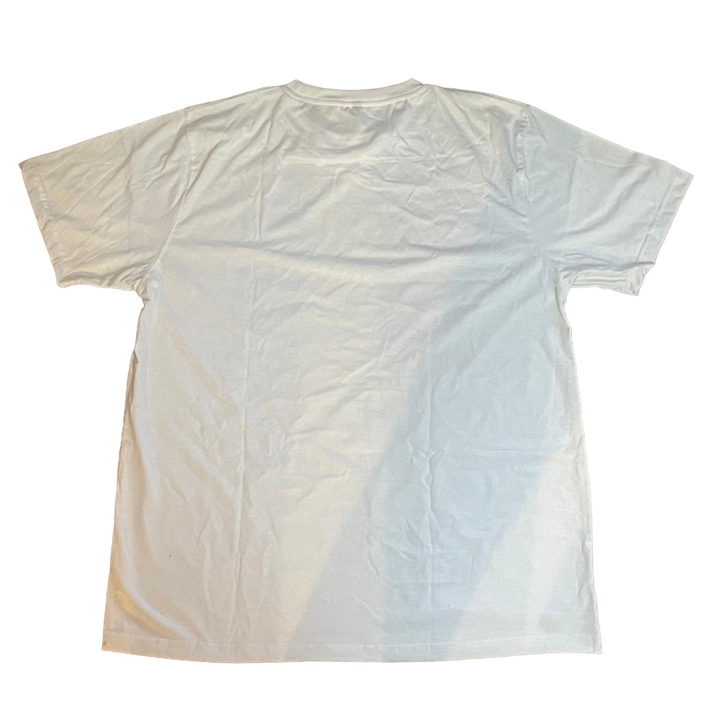 EVEN DEMONS CRY TEE